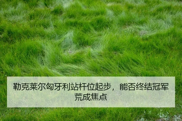 lei-ke-lai-er-xiong-ya-li-zhan-gan-wei-qi-bu-neng-fou-zhong-jie-guan-jun-huang-cheng-jiao-dian-2-177.jpg