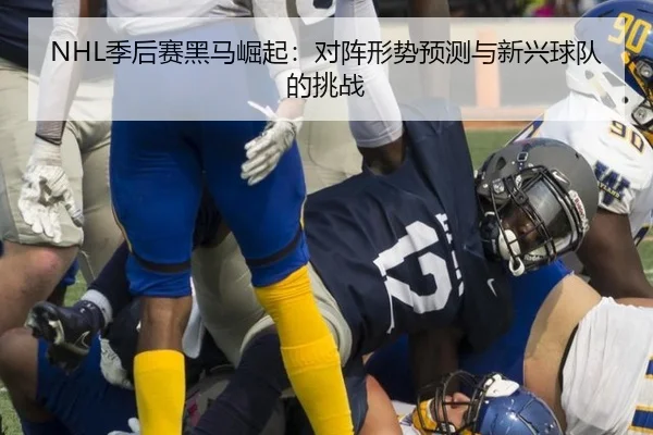 NHL季后赛黑马崛起：对阵形势预测与新兴球队的挑战